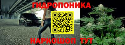 прущая мука Кандалакша