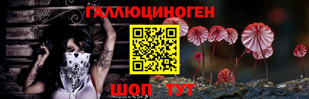 Краснокаменск  Псилоцибиновые грибы Cubensis  Галлюциногенные грибы мицелий  Вход с VPN 